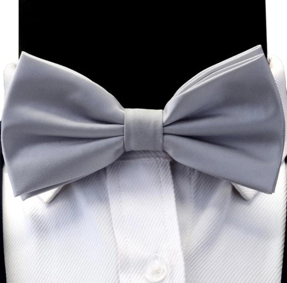 Classy Men Silver Silk Pre-Tied Bow Tie