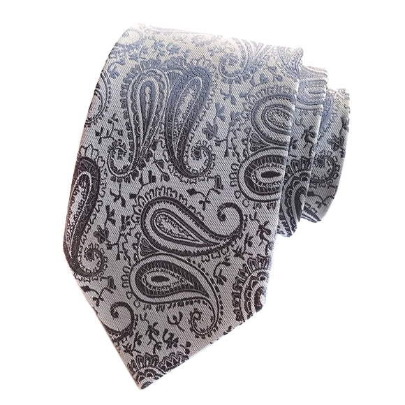 Classy Men Simple Grey Paisley Tie