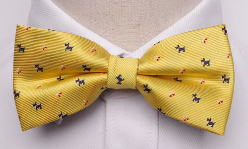 Classy Men Yellow Fancy Bow Tie