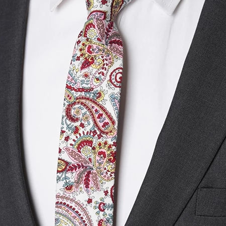 Classy Men Red Paisley Floral Skinny Cotton Tie