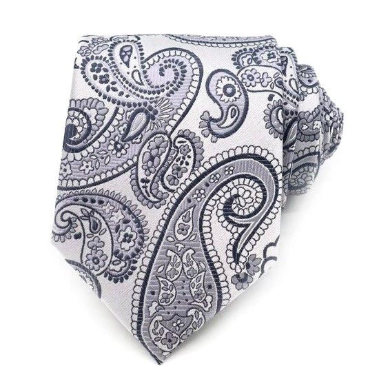 Classy Men Silver Grey Paisley Silk Tie
