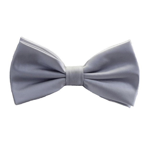 Classy Men Silver Silk Pre-Tied Bow Tie