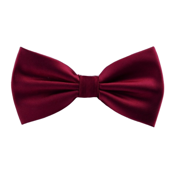 Classy Men Wine Red Silk Pre-Tied Bow Tie