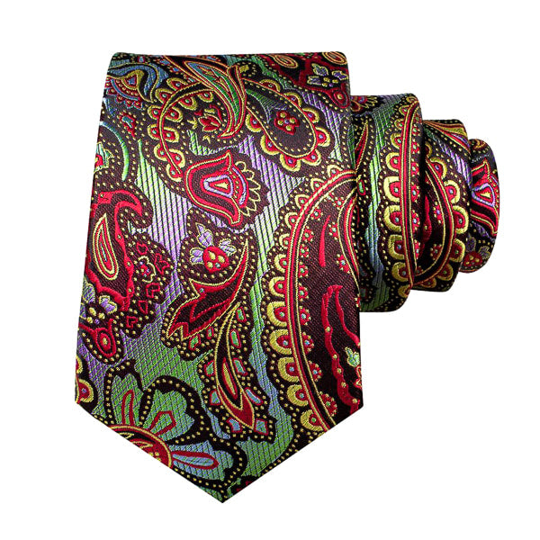 Classy Men Colorful Paisley Silk Necktie