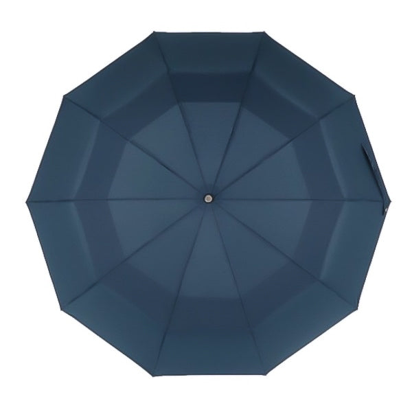 Blue Automatic Windproof Folding Umbrella Vented Double Canopy