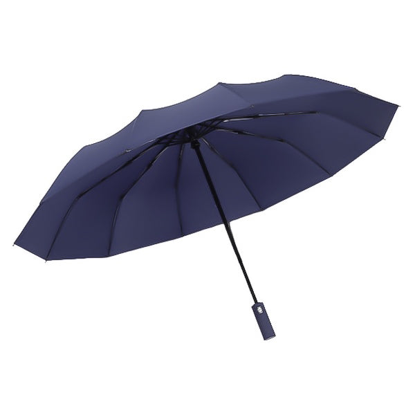 Blue automatic rain umbrella for men