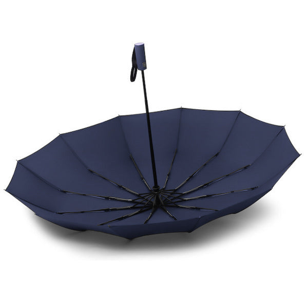 Blue rain umbrella with strong frame and durable canopy