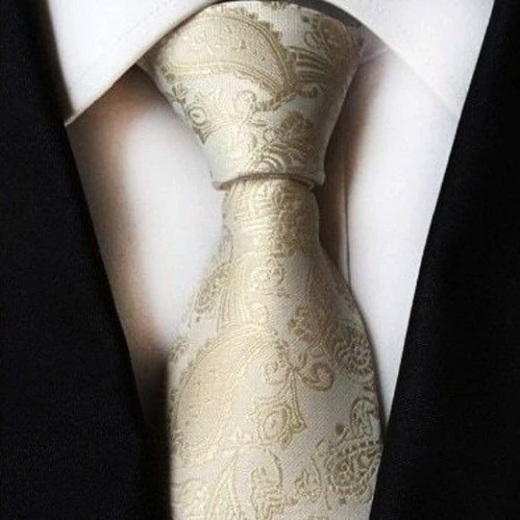 上品な男性のシンプルなシャンパン ペイズリー柄のネクタイ