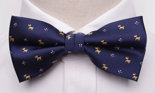 Classy Men Blue Fancy Bow Tie - Classy Men Collection