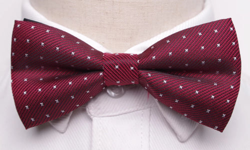 Classy Men Red Dotted Bow Tie