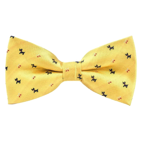 Classy Men Yellow Fancy Bow Tie