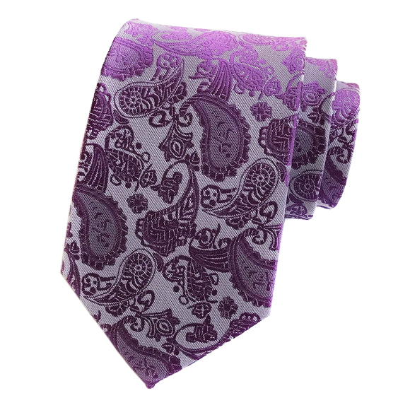 Classy Men Simple Purple Paisley Tie