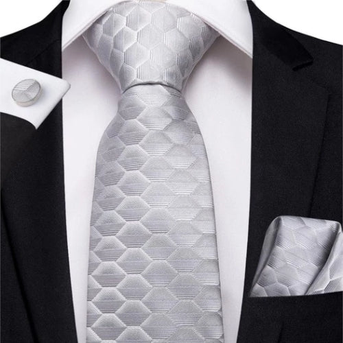 Classy Men Light Silver Hexagonal Silk Tie