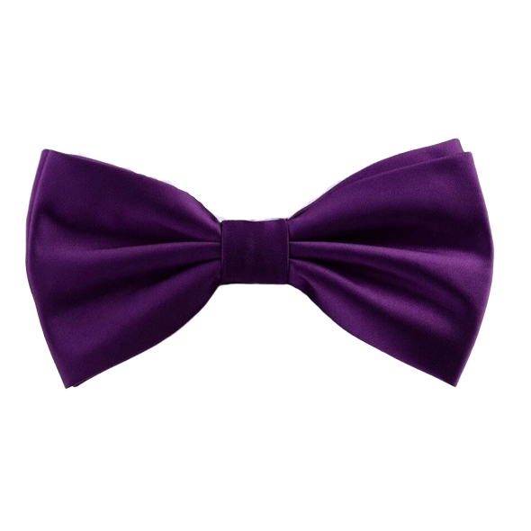 Classy Men Purple Silk Pre-Tied Bow Tie