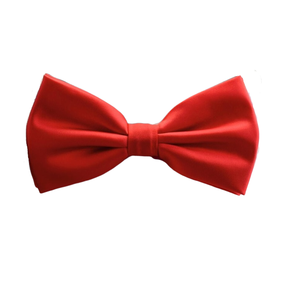 Classy Men Red Silk Pre-Tied Bow Tie