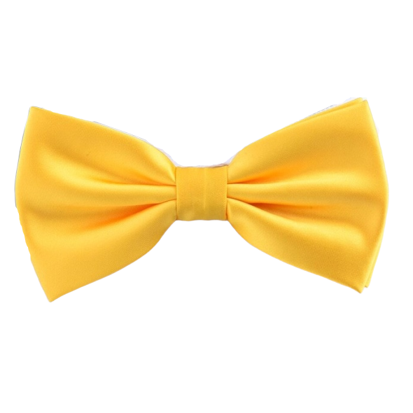 Classy Men Yellow Silk Pre-Tied Bow Tie
